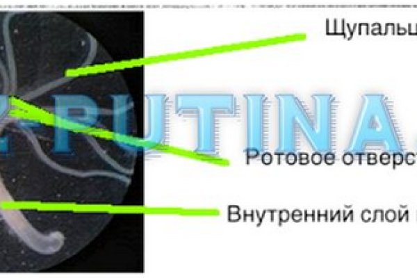 Ссылка для входа на сайт kraken