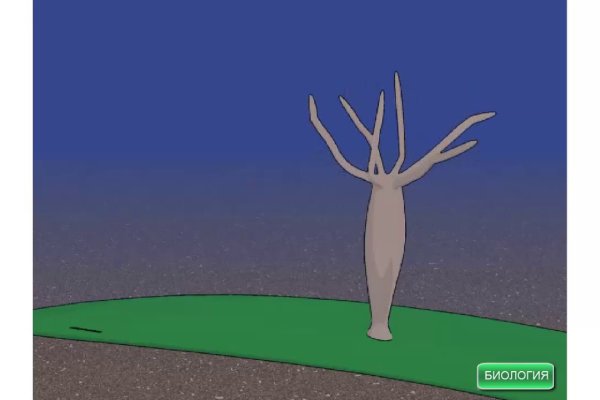 Кракен ссылка 2web