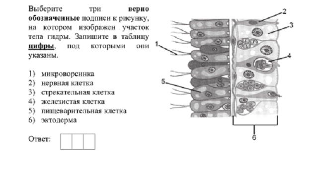 Kraken пользователь не найден при входе