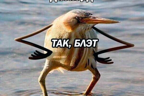 Что такое кракен маркет торкнет