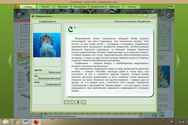 Кракен москва наркотики