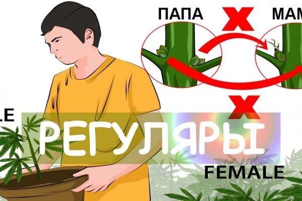 Войти на кракен