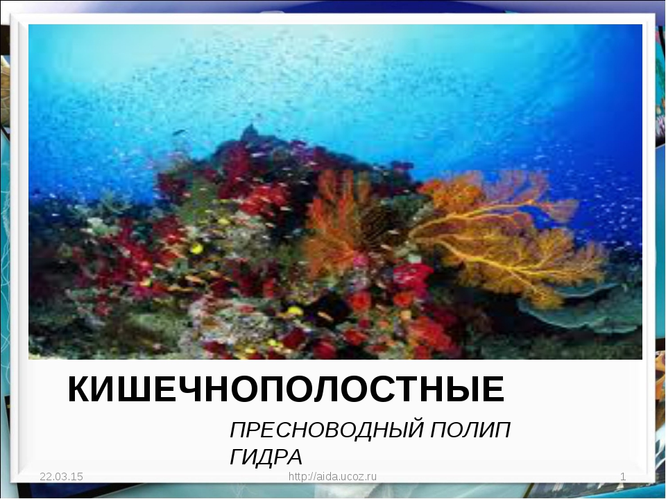 Кракен сайт krknwebs